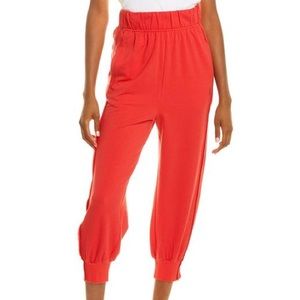 Free People Where the Wind Blows Joggers